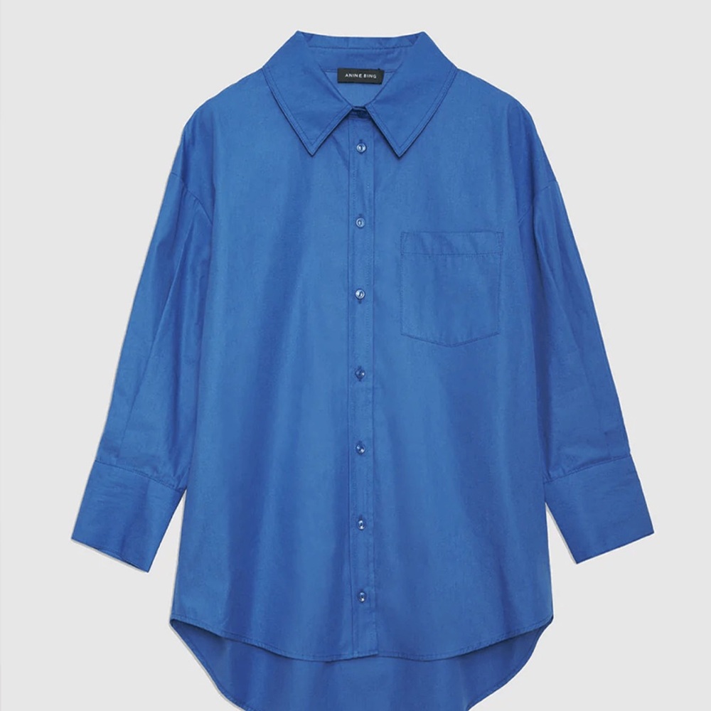 Anine Bing Blue Button Down Shirt